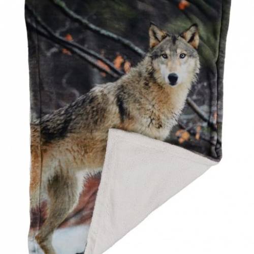 Printed Blanket 